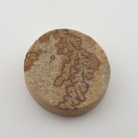 Psilomelane dendrite cabochon fi 23 mm no. 1 Psilomelane dendrite cabochon fi 23 mm no. 1