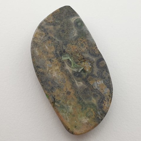 Leopard skin jasper cabochon 34x18 mm no 66 Leopard skin jasper cabochon 34x18 mm no 66