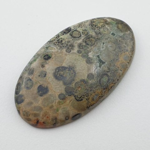 Leopard skin jasper cabochon 37x21 mm no 57 Leopard skin jasper cabochon 37x21 mm no 57