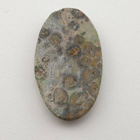 Leopard skin jasper cabochon 37x21 mm no 57 Leopard skin jasper cabochon 37x21 mm no 57