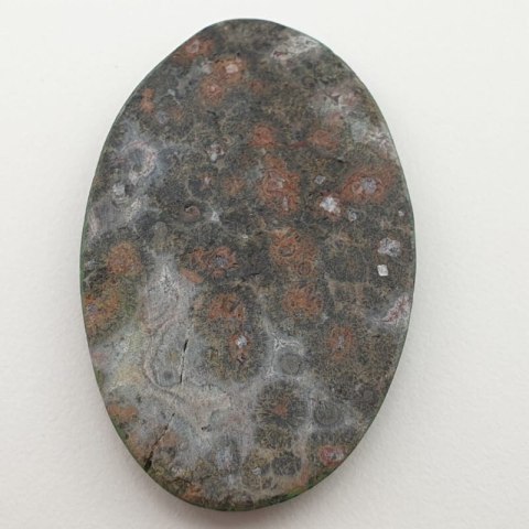 Jasper leopard cabochon 42x26 mm no 61 Jasper leopard cabochon 42x26 mm no 61