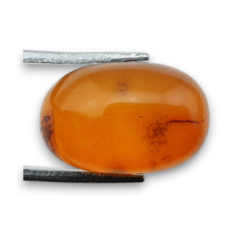 Baltic amber cabochon 16x10 mm no. 877 Baltic amber cabochon 16x10 mm no. 877