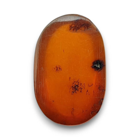 Baltic amber cabochon 16x10 mm no. 877 Baltic amber cabochon 16x10 mm no. 877