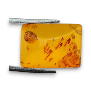 Baltic amber cabochon 16x11 mm no 791