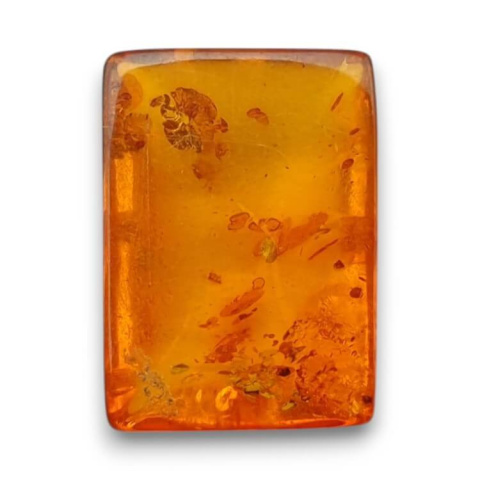 Baltic amber cabochon 16x11 mm no 791 Baltic amber cabochon 16x11 mm no 791