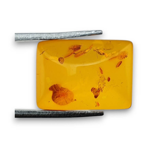 Baltic amber cabochon 16x11 mm no 792