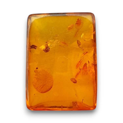 Baltic amber cabochon 16x11 mm no 792