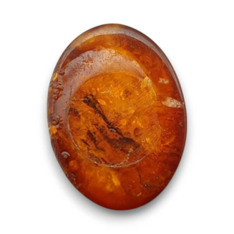 Bursztyn bałtycki kaboszon 16x12 mm nr 734 Bursztyn bałtycki kaboszon 16x12 mm nr 734
