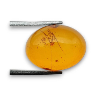 Baltic amber cabochon 16x12 mm no 735