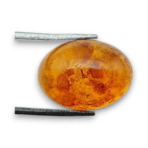 Baltic amber cabochon 16x12 mm no 736 Baltic amber cabochon 16x12 mm no 736