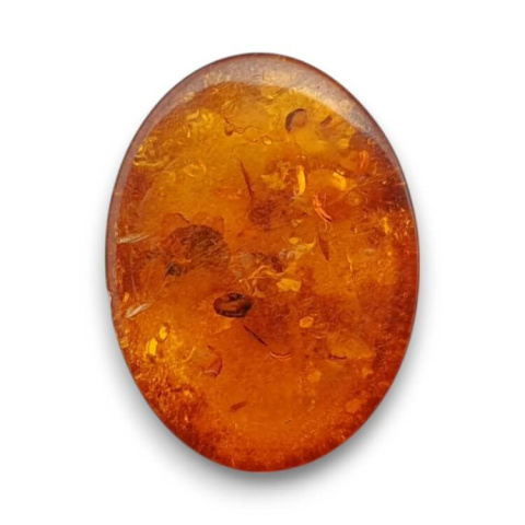 Baltic amber cabochon 16x12 mm no 736 Baltic amber cabochon 16x12 mm no 736