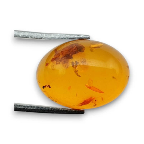 Baltic amber cabochon 16x12 mm no 737 Baltic amber cabochon 16x12 mm no 737