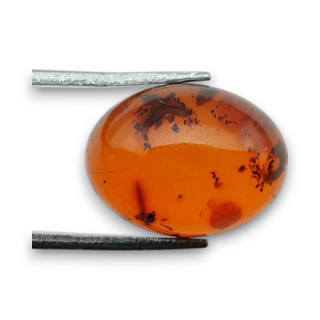 Baltic amber cabochon 16x12 mm no 738
