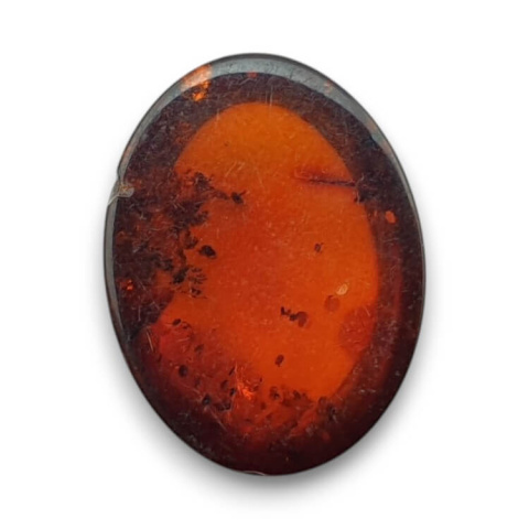 Baltic amber cabochon 16x12 mm no 738
