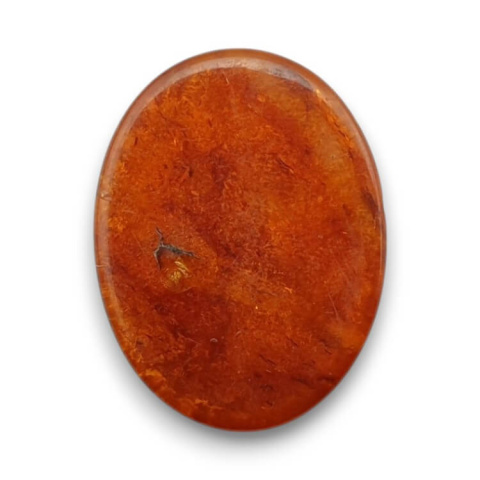 Bursztyn bałtycki kaboszon 16x12 mm nr 740 Bursztyn bałtycki kaboszon 16x12 mm nr 740
