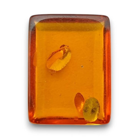 Baltic amber cabochon 16x12 mm no. 780 Baltic amber cabochon 16x12 mm no. 780