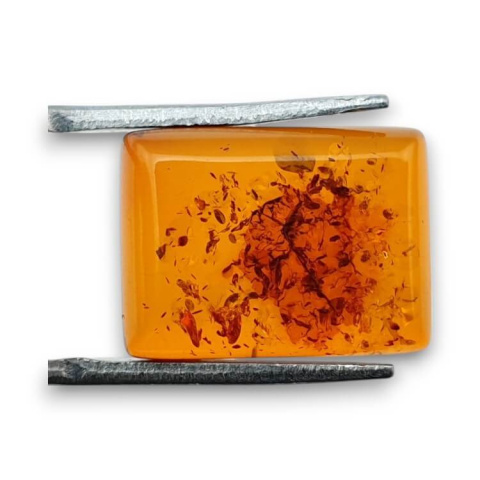 Bursztyn bałtycki kaboszon 16x12 mm nr 782 Bursztyn bałtycki kaboszon 16x12 mm nr 782