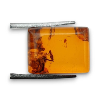 Baltic amber cabochon 16x12 mm no. 790