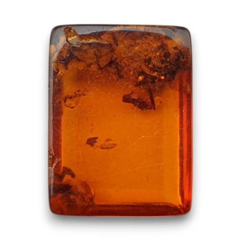 Baltic amber cabochon 16x12 mm no. 790 Baltic amber cabochon 16x12 mm no. 790