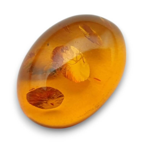 Baltic amber cabochon 16x12 mm no. 862 Baltic amber cabochon 16x12 mm no. 862