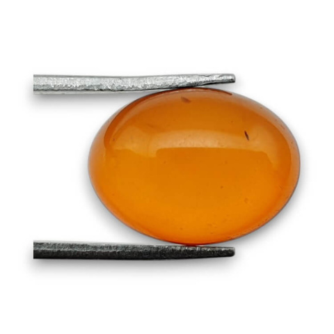 Baltic amber cabochon 16x12 mm no 863 Baltic amber cabochon 16x12 mm no 863