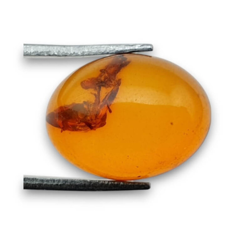 Bursztyn bałtycki kaboszon 16x12 mm nr 866 Bursztyn bałtycki kaboszon 16x12 mm nr 866