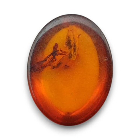 Bursztyn bałtycki kaboszon 16x12 mm nr 866 Bursztyn bałtycki kaboszon 16x12 mm nr 866