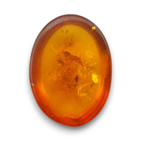 Baltic amber cabochon 16x12 mm no 868 Baltic amber cabochon 16x12 mm no 868