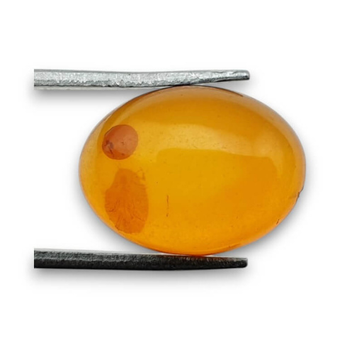 Baltic amber cabochon 16x12 mm no. 874 Baltic amber cabochon 16x12 mm no. 874