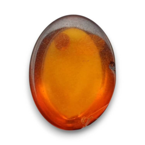 Baltic amber cabochon 16x12 mm no. 874 Baltic amber cabochon 16x12 mm no. 874