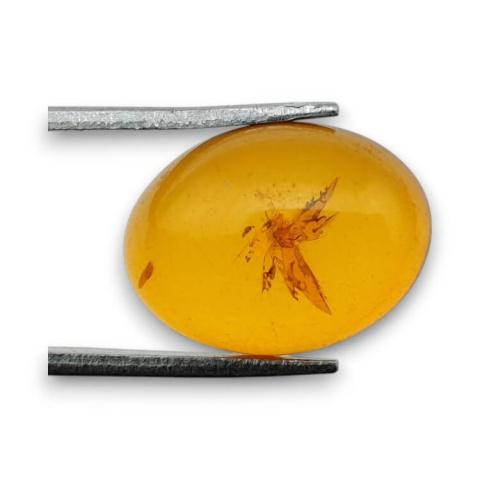 Baltic amber cabochon 16x12 mm no 875 Baltic amber cabochon 16x12 mm no 875