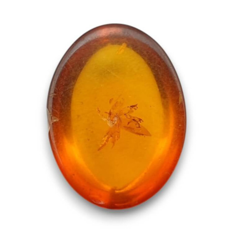 Baltic amber cabochon 16x12 mm no 875 Baltic amber cabochon 16x12 mm no 875