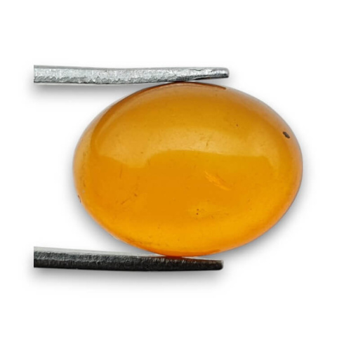 Baltic amber cabochon 16x12 mm no 878 Baltic amber cabochon 16x12 mm no 878