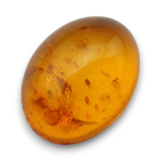 Baltic amber cabochon 16x12 mm no 881
