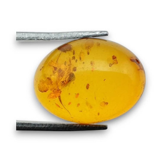 Baltic amber cabochon 16x12 mm no 881
