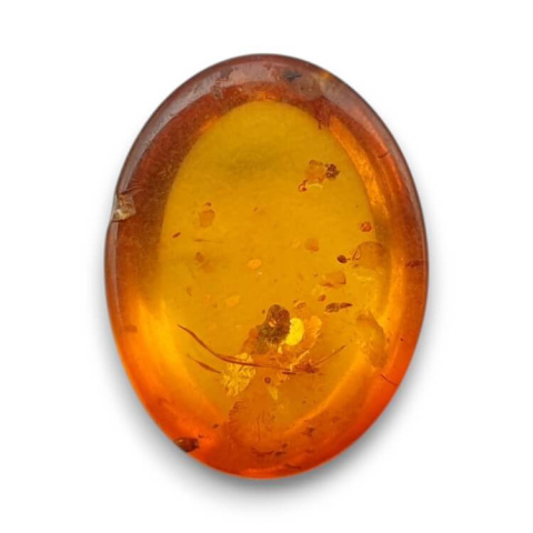 Baltic amber cabochon 16x12 mm no 881 Baltic amber cabochon 16x12 mm no 881