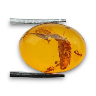 Baltic amber cabochon 16x12 mm no. 888