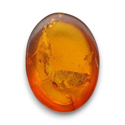 Baltic amber cabochon 16x12 mm no 888 Baltic amber cabochon 16x12 mm no 888