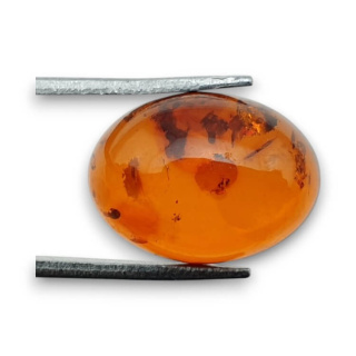 Baltic amber cabochon 16x12 mm no 891