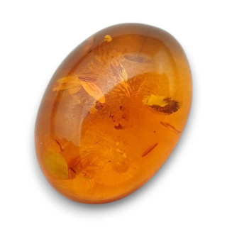 Baltic amber cabochon 16x12 mm no 893