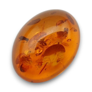 Baltic amber cabochon 16x12 mm no. 899