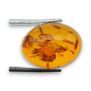 Baltic amber cabochon 16x12 mm no. 899