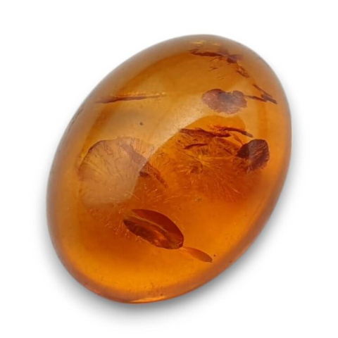 Baltic amber cabochon 16x12 mm no 904 Baltic amber cabochon 16x12 mm no 904