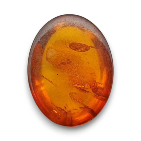 Baltic amber cabochon 16x12 mm no 904 Baltic amber cabochon 16x12 mm no 904