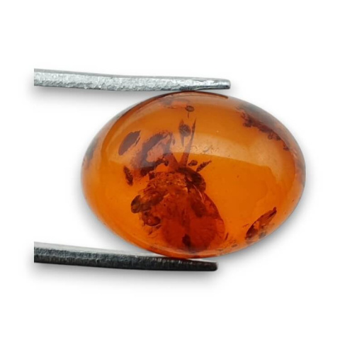 Baltic amber cabochon 16x12 mm no 906 Baltic amber cabochon 16x12 mm no 906