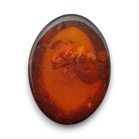 Baltic amber cabochon 16x12 mm no 906 Baltic amber cabochon 16x12 mm no 906