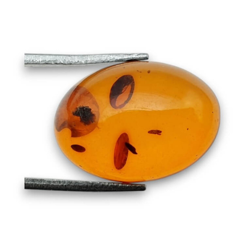 Baltic amber cabochon 18x13 mm no 793 Baltic amber cabochon 18x13 mm no 793