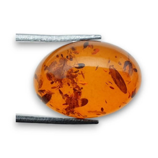 Baltic amber cabochon 18x13 mm no 798