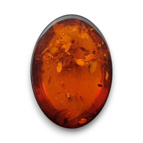 Baltic amber cabochon 18x13 mm no 798 Baltic amber cabochon 18x13 mm no 798