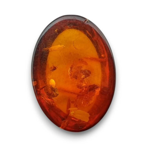 Baltic amber cabochon 18x13 mm no 801 Baltic amber cabochon 18x13 mm no 801